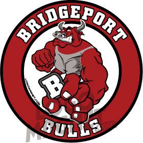 BRIDGEPORT-BULLS.jpg Custom Car Magnet | Logo Magnet